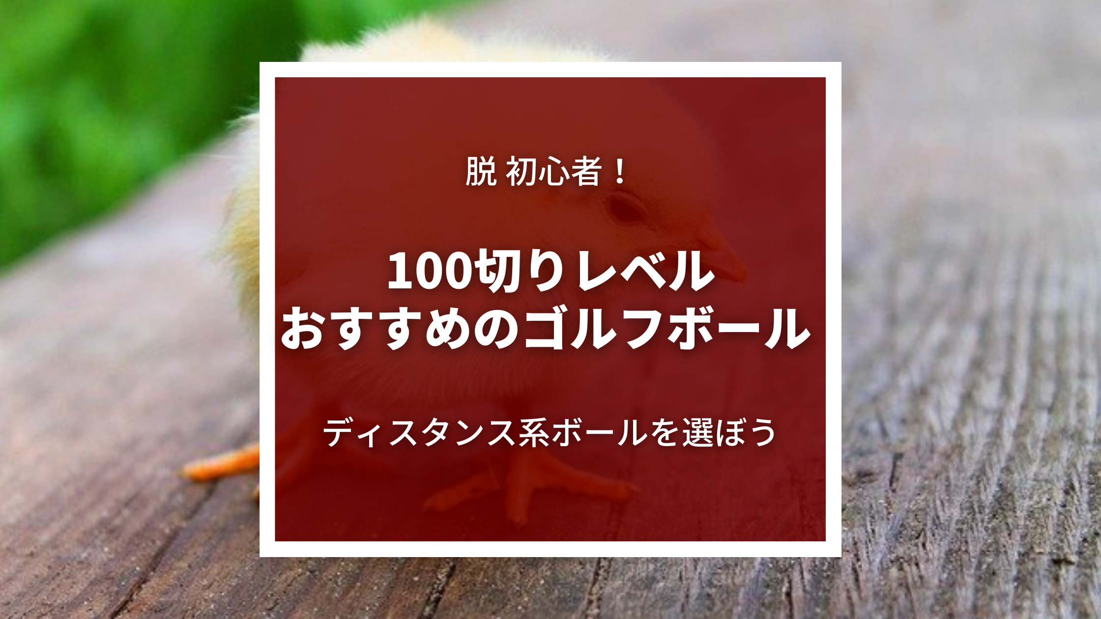100切りを目指す人におすすめのゴルフボール 脱初心者 ボールを1つに決めるべき理由 100切りを目指す人におすすめのゴルフボール 脱初心者 ボールを1つに決めるべき理由